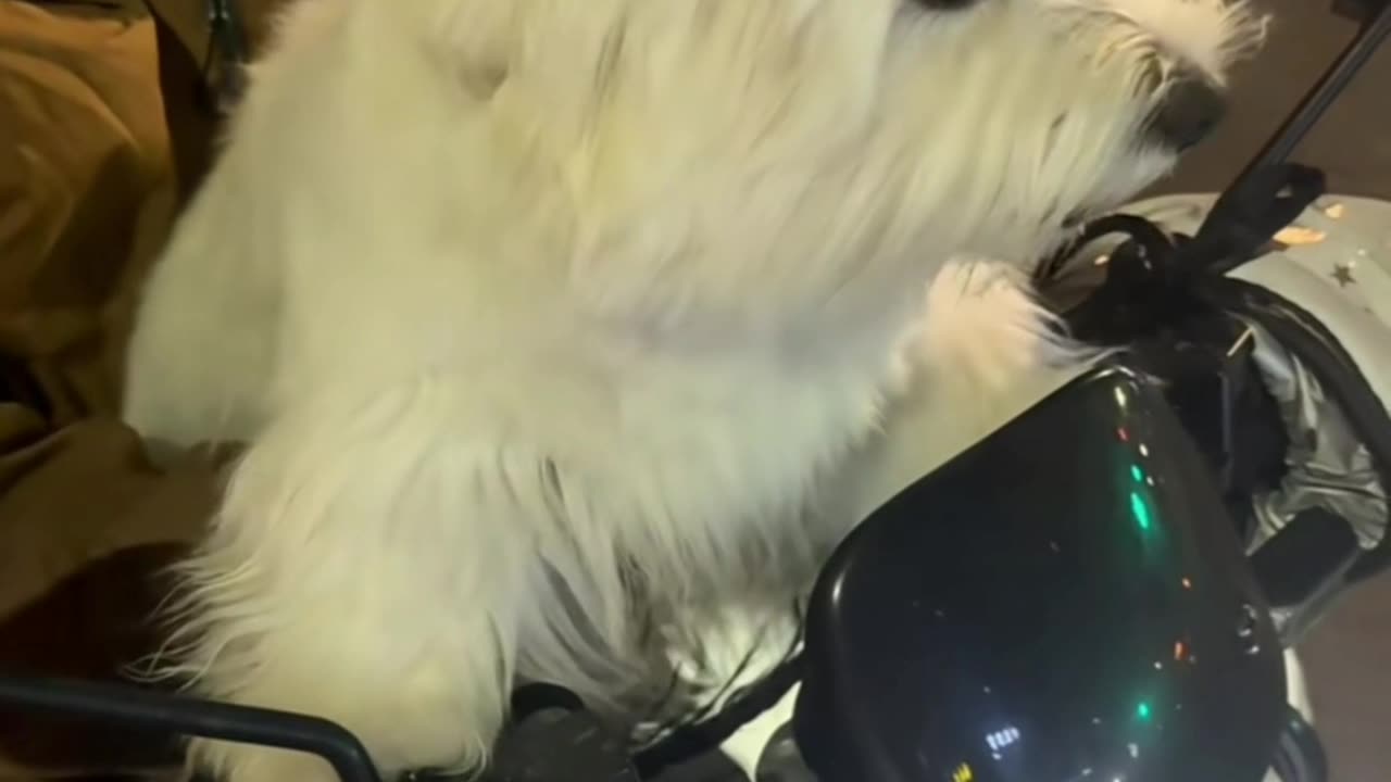 😆😆😆😆😁