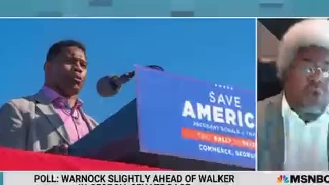 Herschel Walker will do what he's told and that's what Republicans want from their negroes