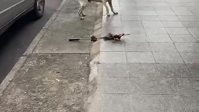ASSALTO ENGRAÇADO