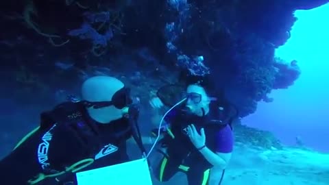 Scuba Diving Surprise Proposal