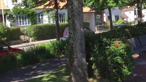 travel in Europe in northern Germany🇩🇪