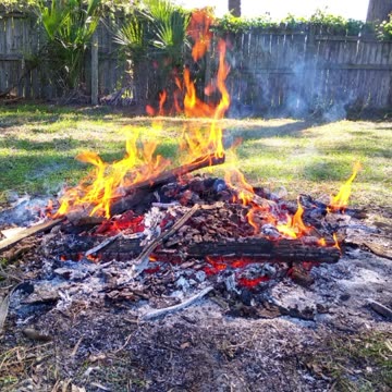 The Inner Light - Stat Trek Next Generation - on Wild Irish McNeela Bb Whistle