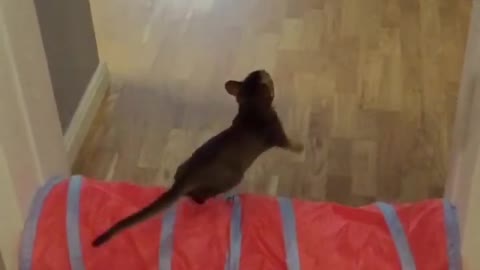 So we jump