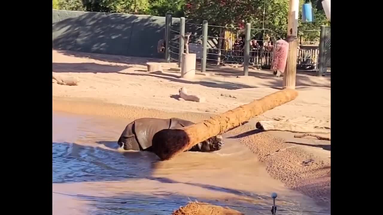 Man with an Inflatable Tongue