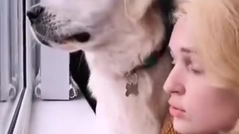 Show me what your dog is doing right now