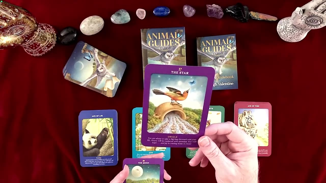 Animal Guides Tarot ✨ Full Deck Review and Flip Through