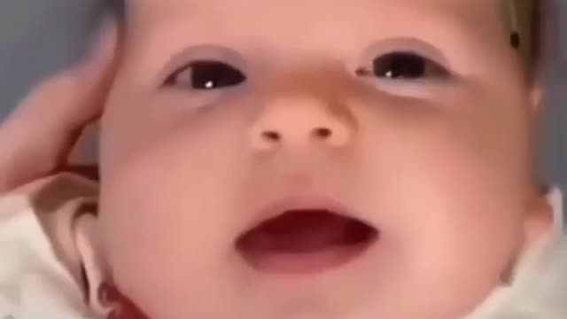 cute chubby baby - funny video