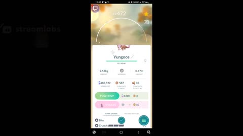 I CAUGHT MY FIRST SHINY YUNGOOS