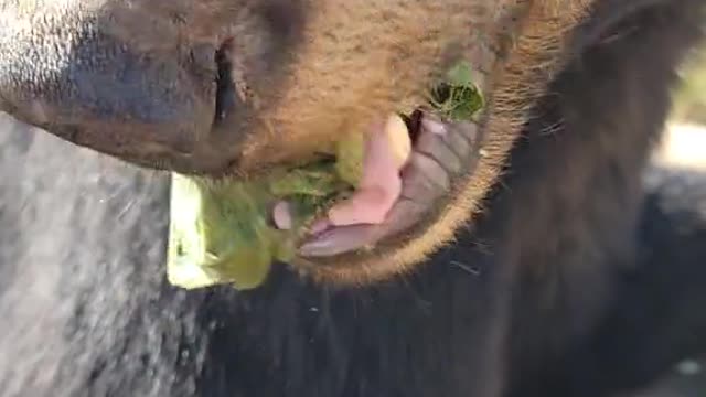 He's not sharing though