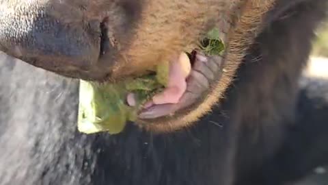 He's not sharing though