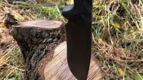Eafengrow Tactical Bowie knife