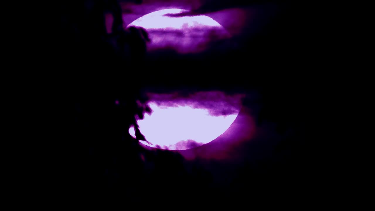 ProducedbyJxdeMidnight - Dead Silence[Acapella] 130 Bpm / A♭ minor