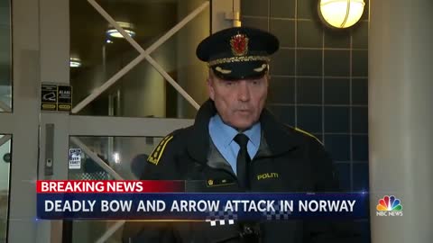 Man Arrested after using Bow and Arrowheads.