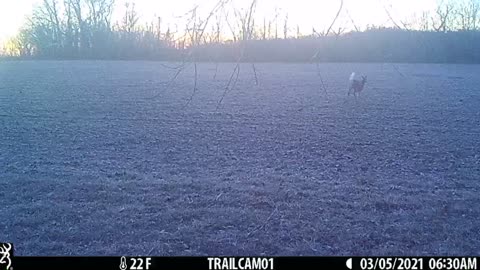 Doe walking point guard for her fire team -1