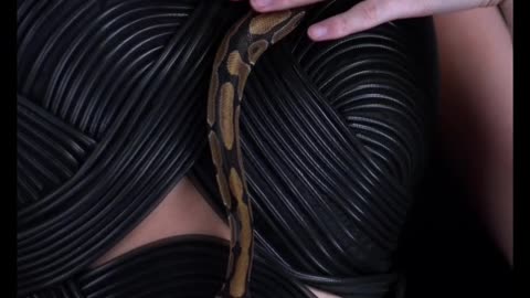 Playing with the Penalty Snake 2