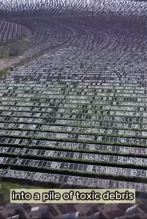 The government needs to get out of business