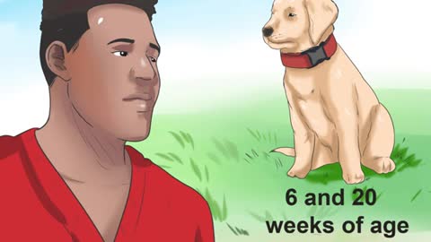 Tell If Your Dog Has A Parvo