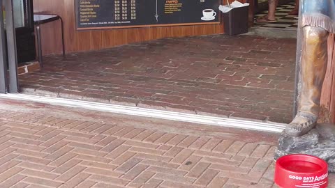 Cigar Paradise of John's Pass - Florida