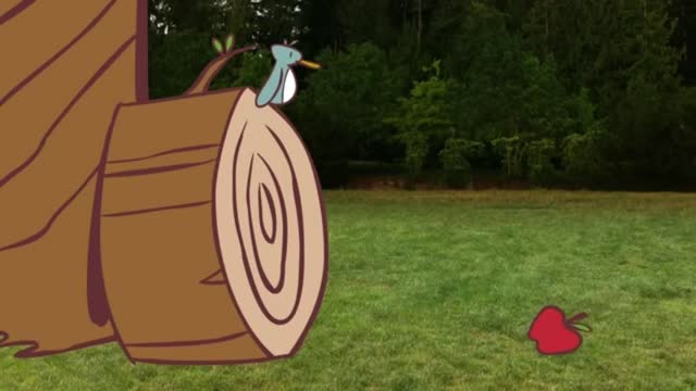 Accuracy and precision make our dreams come true