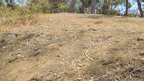 A little week in the knees