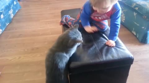 Cute baby fun with cat