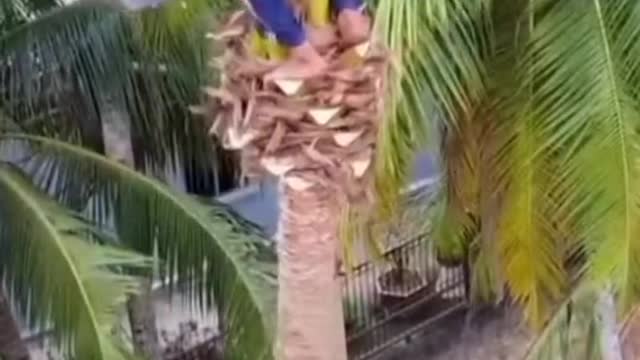 Amazing Video Funniest Comedy For Fun | Eps 31