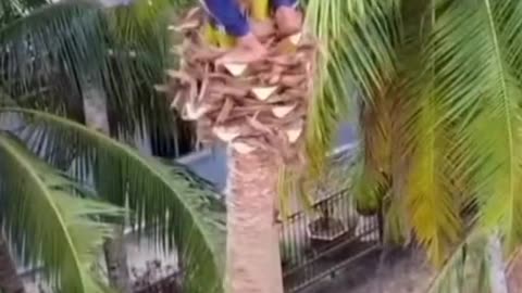 Amazing Video Funniest Comedy For Fun | Eps 31