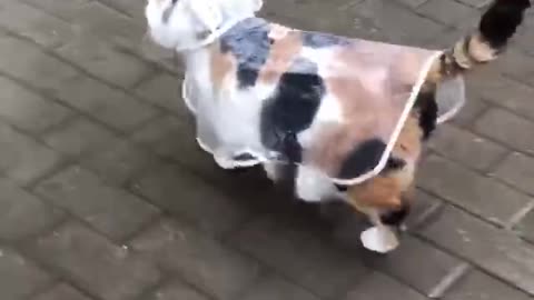 Now she can walk in rainy weather