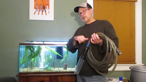 Pets!