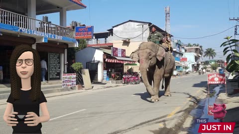 Hathi(Elephants)ki dunya ka visit karen aur jane bohat hi interesting information AI ke sath (New)
