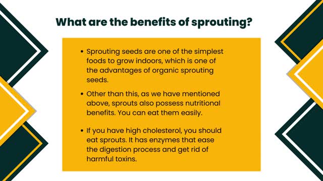 The Health Benefits of Sprouting Seeds