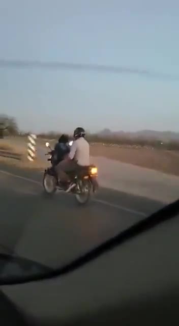 This dog is riding a motorcycle