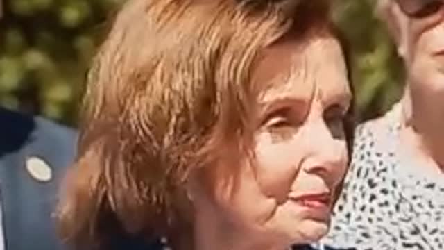 Nancy Pelosi in S. Florida... John Di Lemme's Commentary Exposes it all!!!