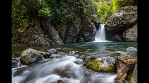 Relaxing River Stream Sounds - Nature Sounds, Singing Birds Ambience