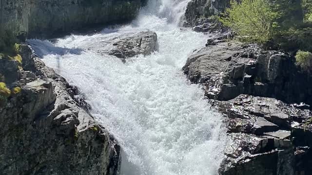 Beautiful Montana Waterfall