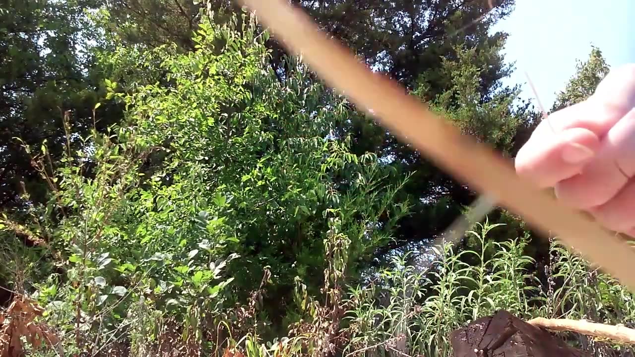 Making cordage from milkweed