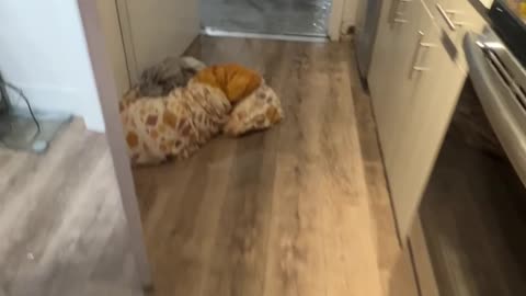 Miami Apartment Building Floods