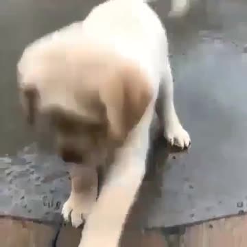 This is so very very cute! ❤ ❤ I love this! ❤❤