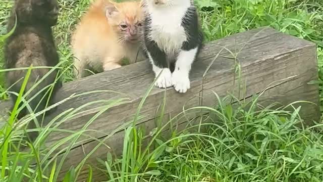 。。。。。