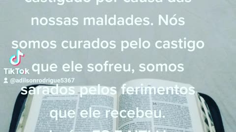 Livro Isaías 53:5