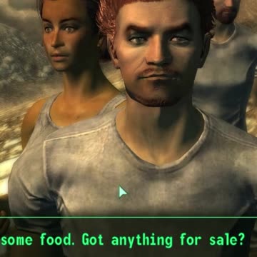 You're trying to sell me strange meat in your underpants! (Fallout 3)