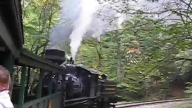 Shay Steam Locomotive