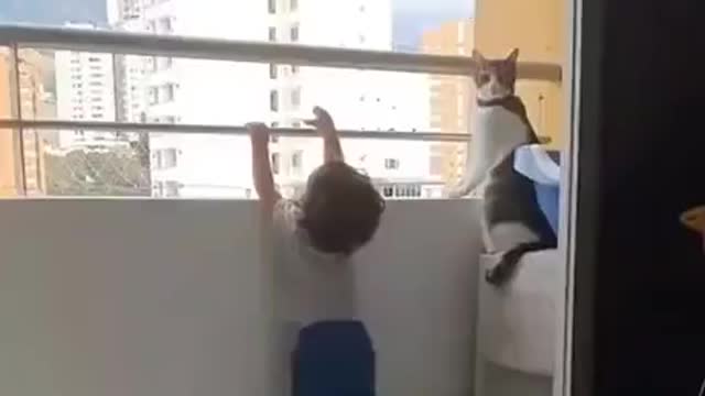 Cat and baby