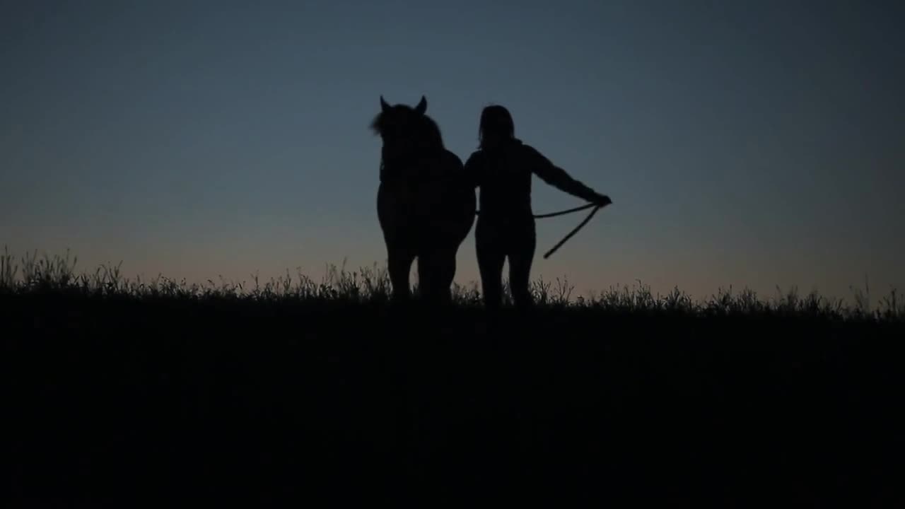 Silhouettes of a female horse rider and a horse walking towards the camera