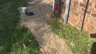 French Drain Installation