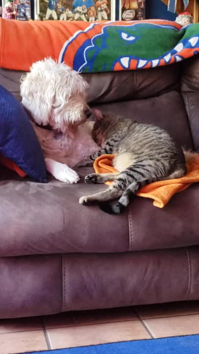 Joy snuggles Mr. 1.5.21