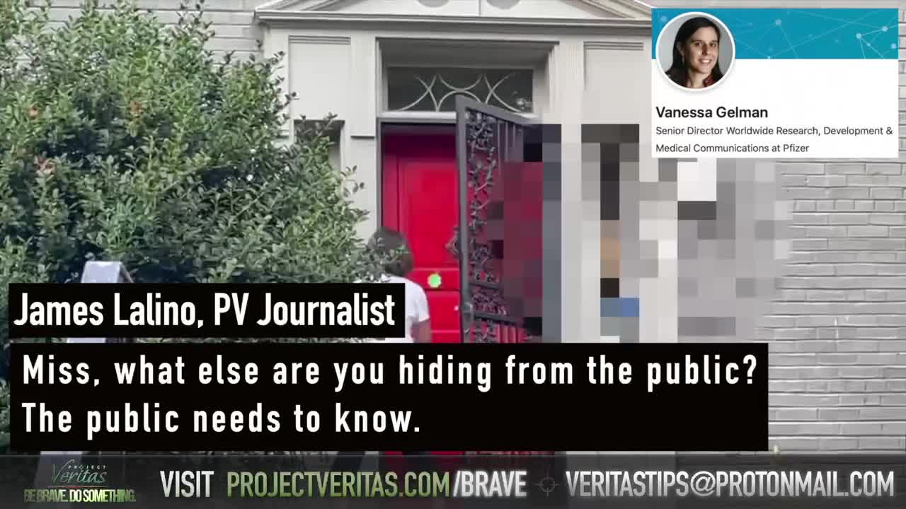 Pfizer Senior Director of Worldwide Research Vanessa Gelman RUNS from Veritas' Questions