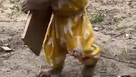 Monkey helps gather wood to prepare Christmas meal