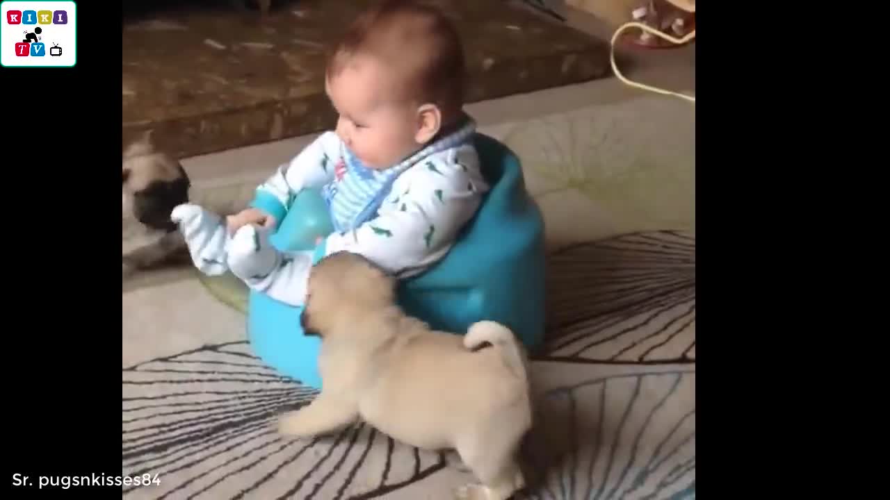 The most adorable babies and cute dogs