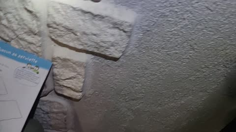 2022-08-05 (3) - Raviolis au poivre - Twitch Triskelina